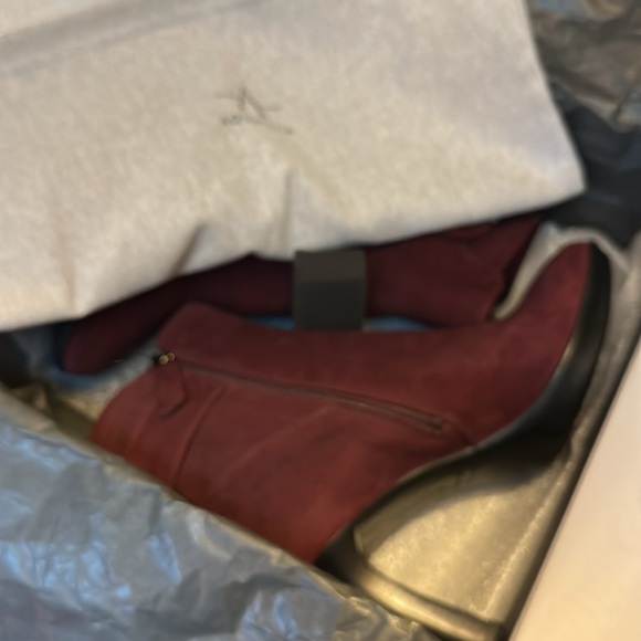 aquatalia rachelle bootie